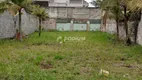 Foto 3 de Lote/Terreno à venda, 520m² em Barra da Tijuca, Rio de Janeiro