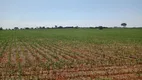 Foto 17 de Fazenda/Sítio à venda, 520000m² em Zona Rural, Bom Despacho