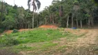 Foto 16 de Fazenda/Sítio com 1 Quarto à venda, 82700m² em Santa Rita do Zarur, Volta Redonda