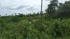 Foto 8 de Fazenda/Sítio à venda, 20000m² em Novo Amarante, São Gonçalo do Amarante