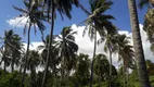 Foto 12 de Fazenda/Sítio com 3 Quartos à venda, 70000m² em Centro, Ceará Mirim