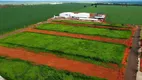 Foto 4 de à venda, 5000m² em Loteamento Centro Empresarial Leste III, Uberlândia