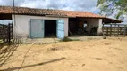 Foto 22 de Fazenda/Sítio com 4 Quartos à venda, 250m² em , Glória do Goitá