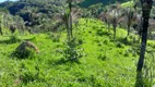 Foto 64 de Fazenda/Sítio com 3 Quartos à venda, 2565000m² em Zona Rural, Padre Bernardo