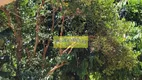 Foto 88 de Fazenda/Sítio com 2 Quartos à venda, 200m² em Jardim Rosaura, Jundiaí