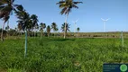 Foto 7 de Fazenda/Sítio à venda, 360000m² em Zona Rural, Trairi