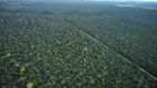 Foto 10 de Fazenda/Sítio à venda em Pontinopolis, São Félix do Araguaia