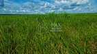 Foto 23 de Fazenda/Sítio à venda, 1m² em , Santa Rita do Tocantins