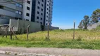 Foto 3 de Lote/Terreno à venda, 1100m² em Nossa Senhora de Lourdes, Caxias do Sul