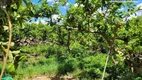 Foto 18 de Fazenda/Sítio com 1 Quarto à venda, 60m² em Macuco, Valinhos