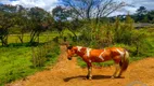 Foto 185 de Fazenda/Sítio com 19 Quartos à venda, 121000m² em Centro, Juquitiba