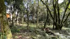 Foto 13 de Lote/Terreno à venda, 802m² em Floresta, Gramado
