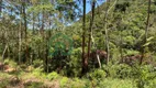 Foto 9 de Lote/Terreno à venda em , Nova Friburgo