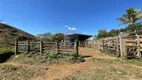 Foto 10 de Fazenda/Sítio com 5 Quartos à venda, 170000m² em Centro, Rio Novo