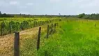 Foto 4 de Fazenda/Sítio à venda, 7000000m² em Calhau, São Luís