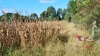 Foto 9 de Fazenda/Sítio com 1 Quarto à venda, 6000m² em Colônia Malhada, São José dos Pinhais