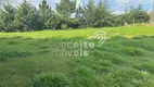 Foto 35 de Fazenda/Sítio com 3 Quartos à venda, 100m² em Uvaia, Ponta Grossa