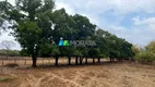 Foto 10 de Fazenda/Sítio com 1 Quarto à venda, 275m² em Rural, Curvelo