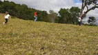 Foto 7 de Fazenda/Sítio à venda, 45000m² em Zona Rural, Cunha