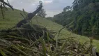 Foto 11 de Fazenda/Sítio à venda, 160000m² em Zona Rural, São Bonifácio