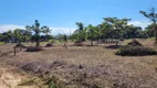 Foto 19 de Lote/Terreno à venda, 4200m² em Praia do Ervino, São Francisco do Sul