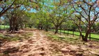 Foto 8 de Fazenda/Sítio com 10 Quartos para venda ou aluguel, 700m² em Zona Rural, Boa Esperança do Sul