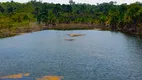 Foto 9 de Fazenda/Sítio com 10 Quartos à venda, 770000m² em Zona Rural, Iranduba