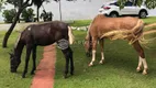 Foto 23 de Fazenda/Sítio à venda, 12600m² em Jardim do Lago, Suzano