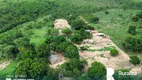 Foto 6 de Fazenda/Sítio à venda, 1936m² em Zona Rural, Lagoa do Tocantins