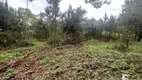 Foto 11 de Lote/Terreno à venda, 26000m² em Parque Recanto Mônica, Itaquaquecetuba