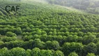 Foto 20 de Fazenda/Sítio com 5 Quartos à venda, 3388000m² em Zona Rural, Ouro Fino