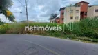 Foto 9 de Lote/Terreno à venda, 220m² em Candida Ferreira, Contagem