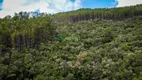 Foto 2 de Fazenda/Sítio à venda, 2662000m² em Centro, Delfim Moreira