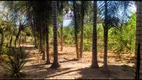 Foto 5 de Fazenda/Sítio com 3 Quartos à venda, 17m² em Zona Rural, Colinas do Sul