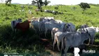 Foto 10 de Fazenda/Sítio à venda, 1853m² em Zona Rural, Aparecida do Rio Negro