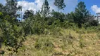 Foto 15 de Fazenda/Sítio à venda, 10000m² em , Cocalzinho de Goiás