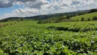 Foto 8 de Fazenda/Sítio com 2 Quartos à venda, 60m² em Zona Rural, São Miguel Arcanjo