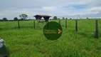 Foto 15 de Fazenda/Sítio com 2 Quartos à venda, 7970000m² em , Novo Planalto