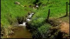 Foto 14 de Fazenda/Sítio com 3 Quartos à venda, 1m² em , Silveiras