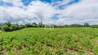 Foto 17 de Lote/Terreno à venda, 24200m² em Vila Fuck, Piraquara