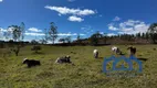 Foto 17 de Fazenda/Sítio com 4 Quartos à venda, 92000m² em Zona Rural, Pilar do Sul