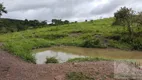 Foto 24 de Fazenda/Sítio com 3 Quartos à venda, 18m² em Zona Rural, Cocalzinho de Goiás