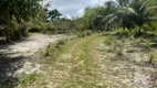 Foto 7 de Fazenda/Sítio com 2 Quartos à venda, 20000m² em Bacuri, São João de Pirabas