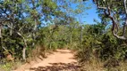 Foto 35 de Fazenda/Sítio com 1 Quarto à venda, 140m² em Zona Rural, Colinas do Sul