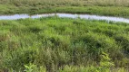 Foto 17 de Fazenda/Sítio com 3 Quartos à venda, 300000m² em Zona Rural, Dores do Indaiá