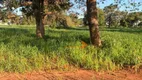 Foto 6 de Fazenda/Sítio à venda, 96800000m² em Zona Rural, Cassilândia