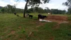 Foto 14 de Fazenda/Sítio com 2 Quartos à venda, 11m² em , Colinas do Sul