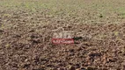 Foto 22 de Fazenda/Sítio à venda em Zona Rural, São Francisco de Goiás