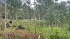 Foto 7 de Lote/Terreno à venda, 90000m² em Linha Avila, Gramado