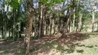 Foto 3 de Lote/Terreno à venda, 2001m² em Jardim das Palmeiras, Campo Largo